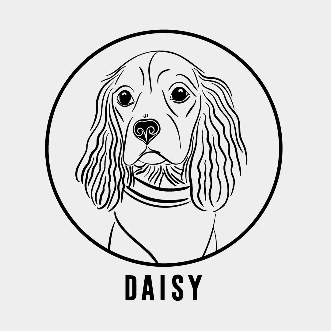 Digital Illustration