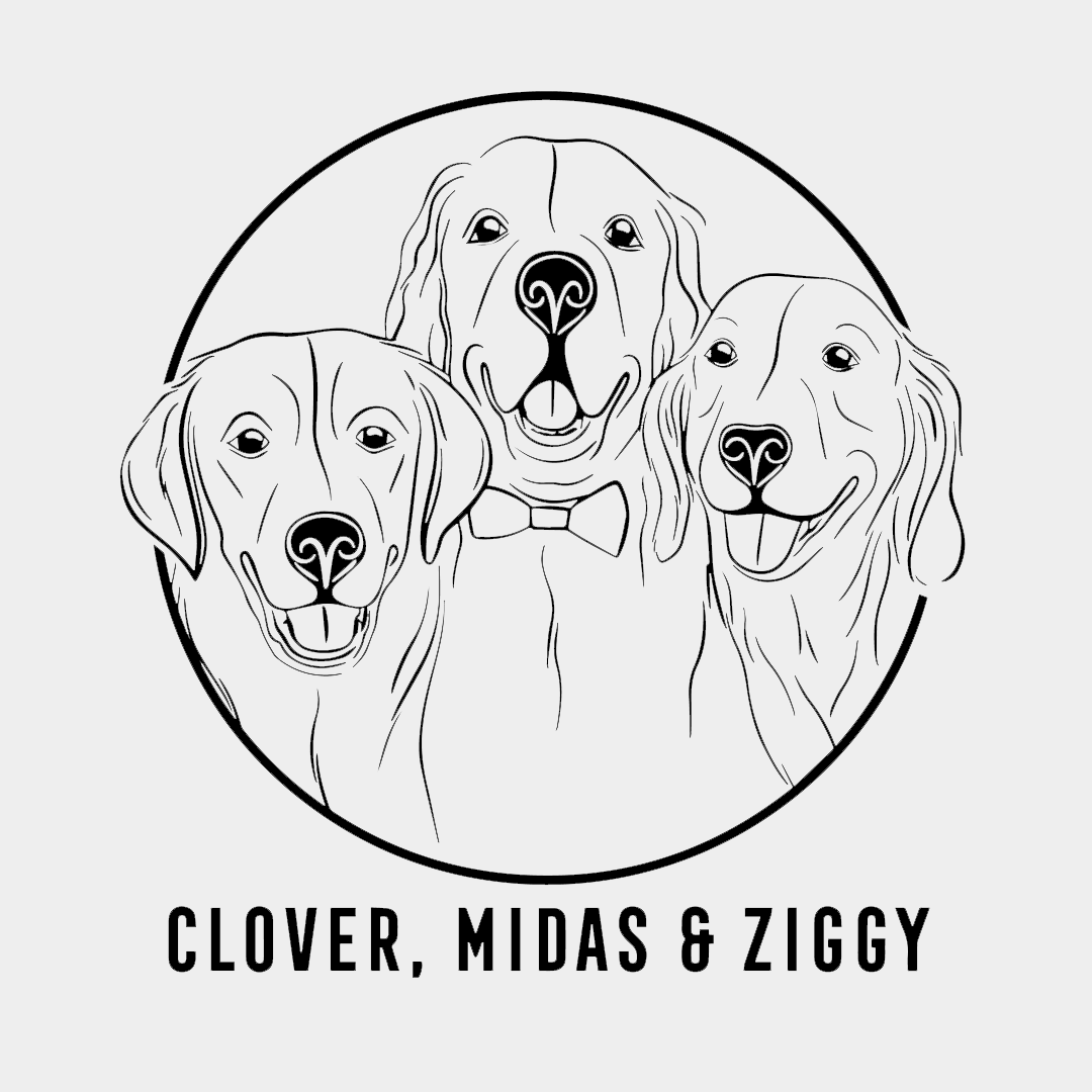 Digital Illustration